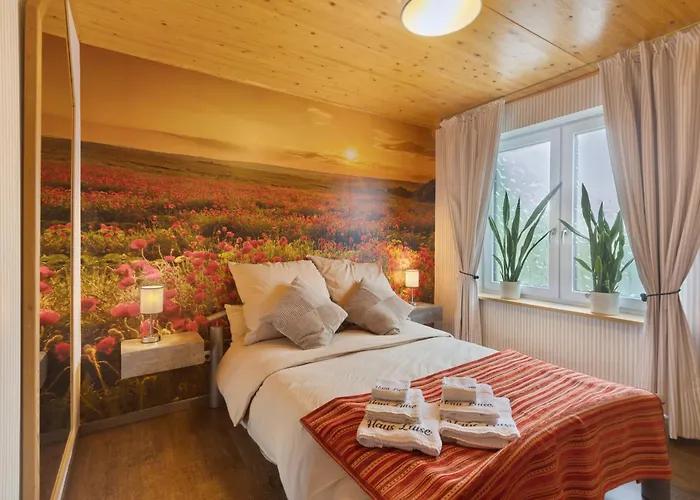 Апартаменты Haus Luise Ольсберг