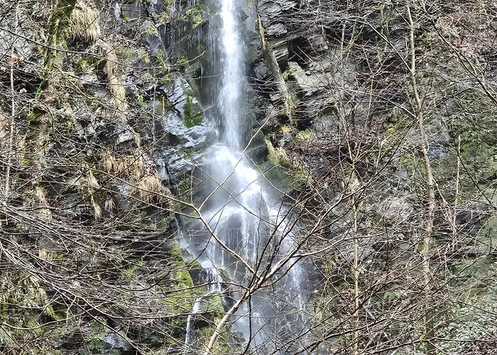 Haus Luise Апартаменты