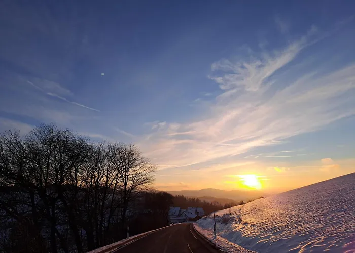 Апартаменты Haus Luise *